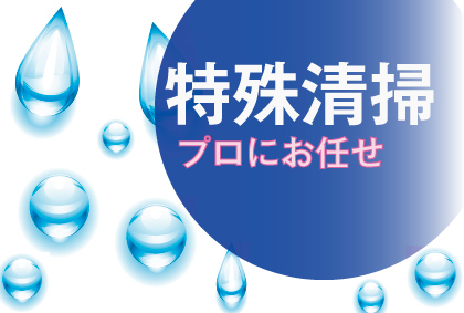 特殊清掃はプロにお任せ